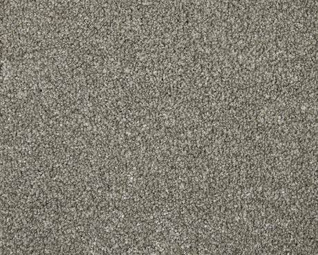 Apollo Elite Carpet