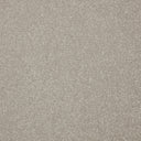 Primo Plus Carpet
