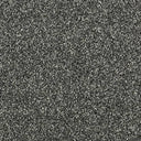 Stainfree Country Life Carpet