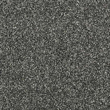 Stainfree Country Life Carpet