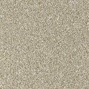 Stainfree Country Life Carpet