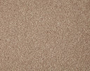 Primo Grande Carpet