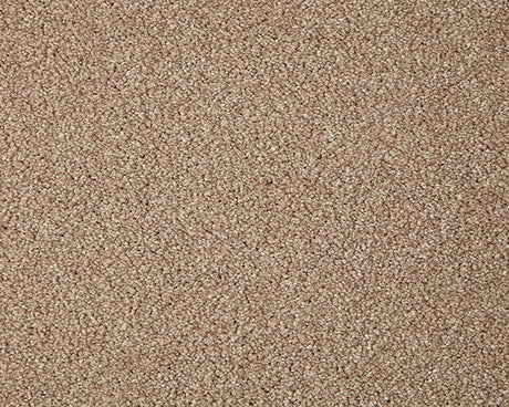 Primo Grande Carpet