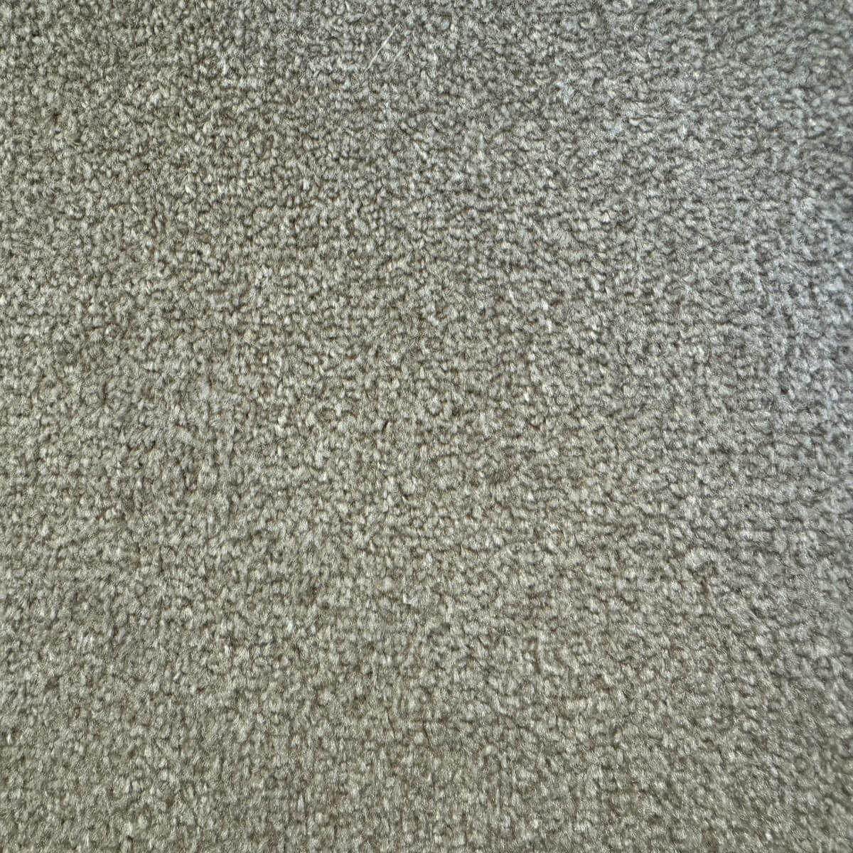 Derby Twist 6110 Pebble (4.00m x 4.00m) M017926