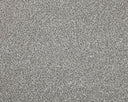 Apollo Elite Carpet