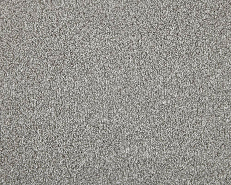 Apollo Elite Carpet