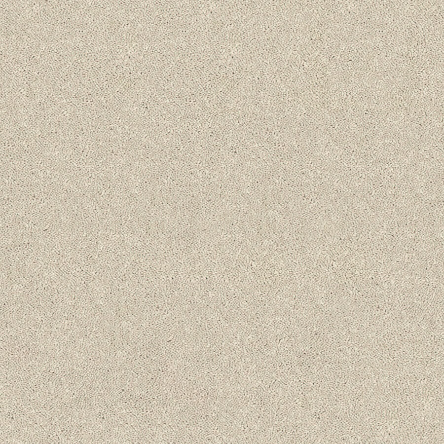 Caress Carpet