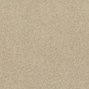 Caress Carpet
