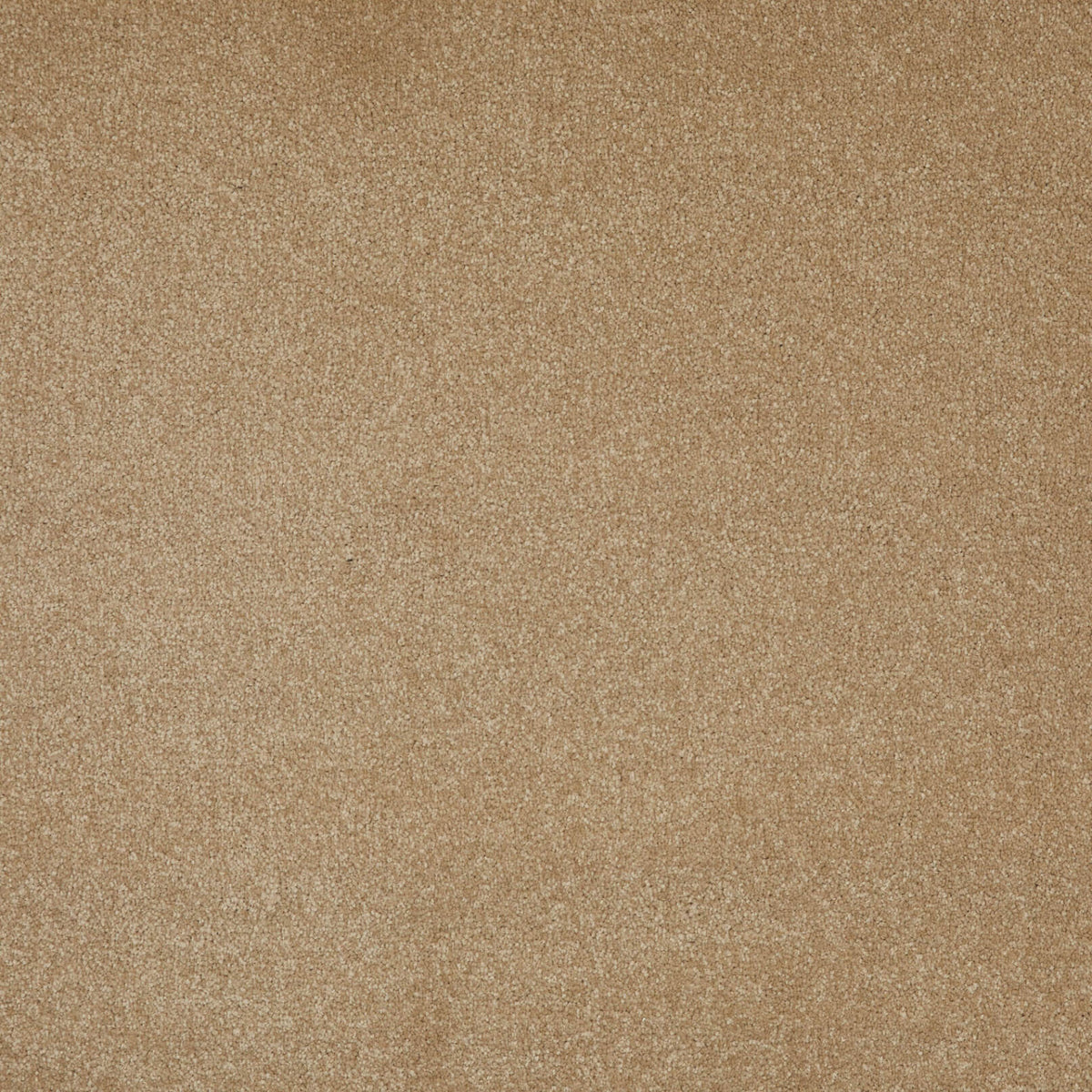 Forest Twist 90 (4.55m x 4.00m) M010658
