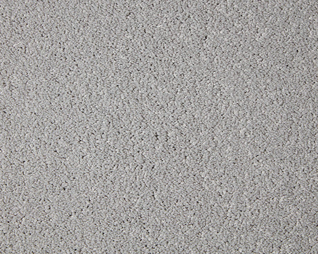 Primo Grande Carpet