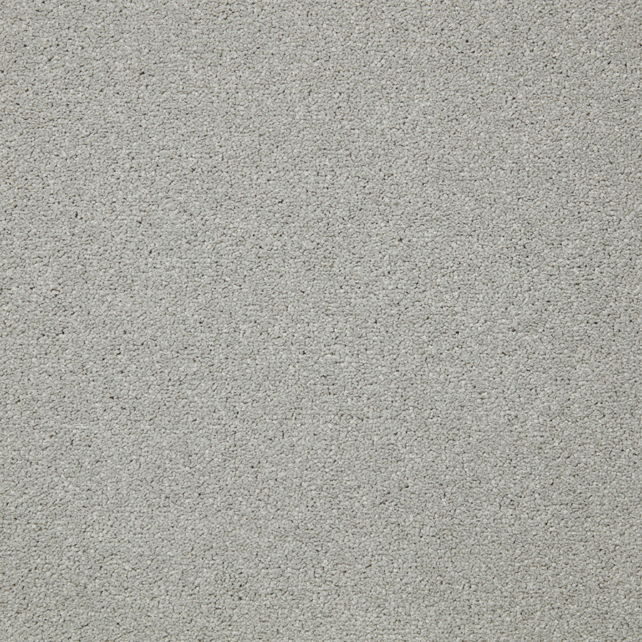 Primo Plus Carpet