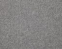 Apollo Elite Carpet