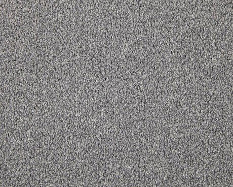Apollo Elite Carpet