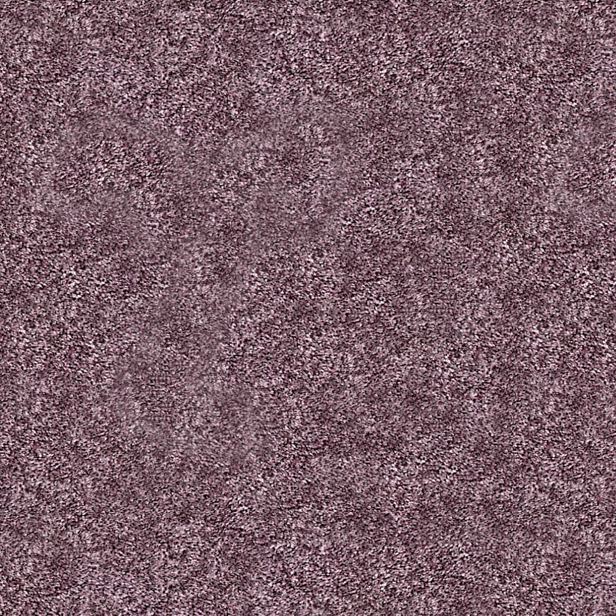 Harvard 309 Lavender (3.70m x 5.00m)