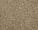 Apollo Elite Carpet
