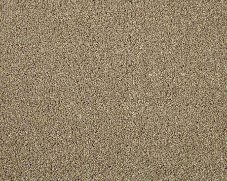 Apollo Elite Carpet