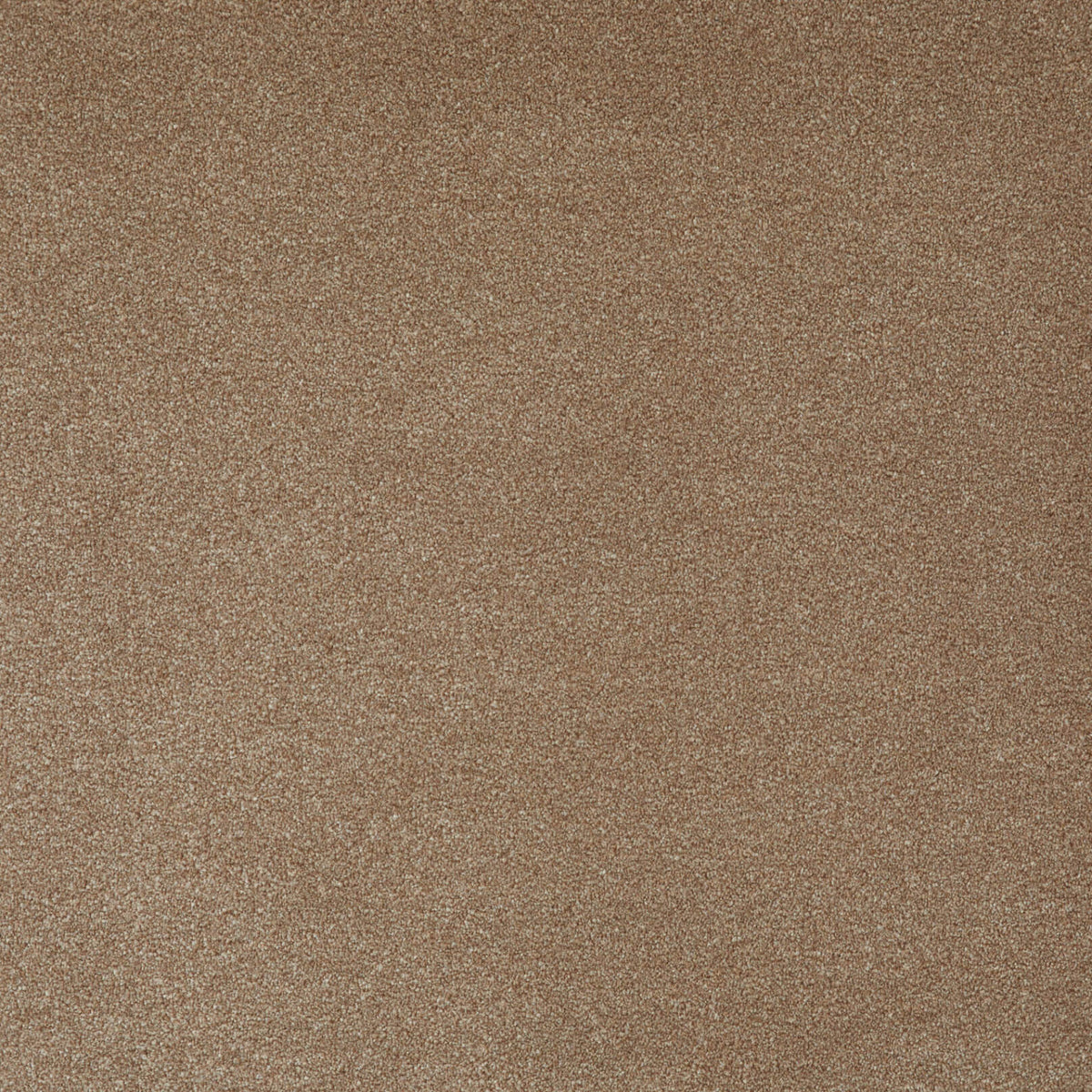 Himalaya Saxony 67 (4.00m x 4.00m) M017944