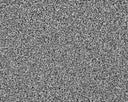 Primo Naturals Carpet