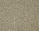 Sensation Carpet