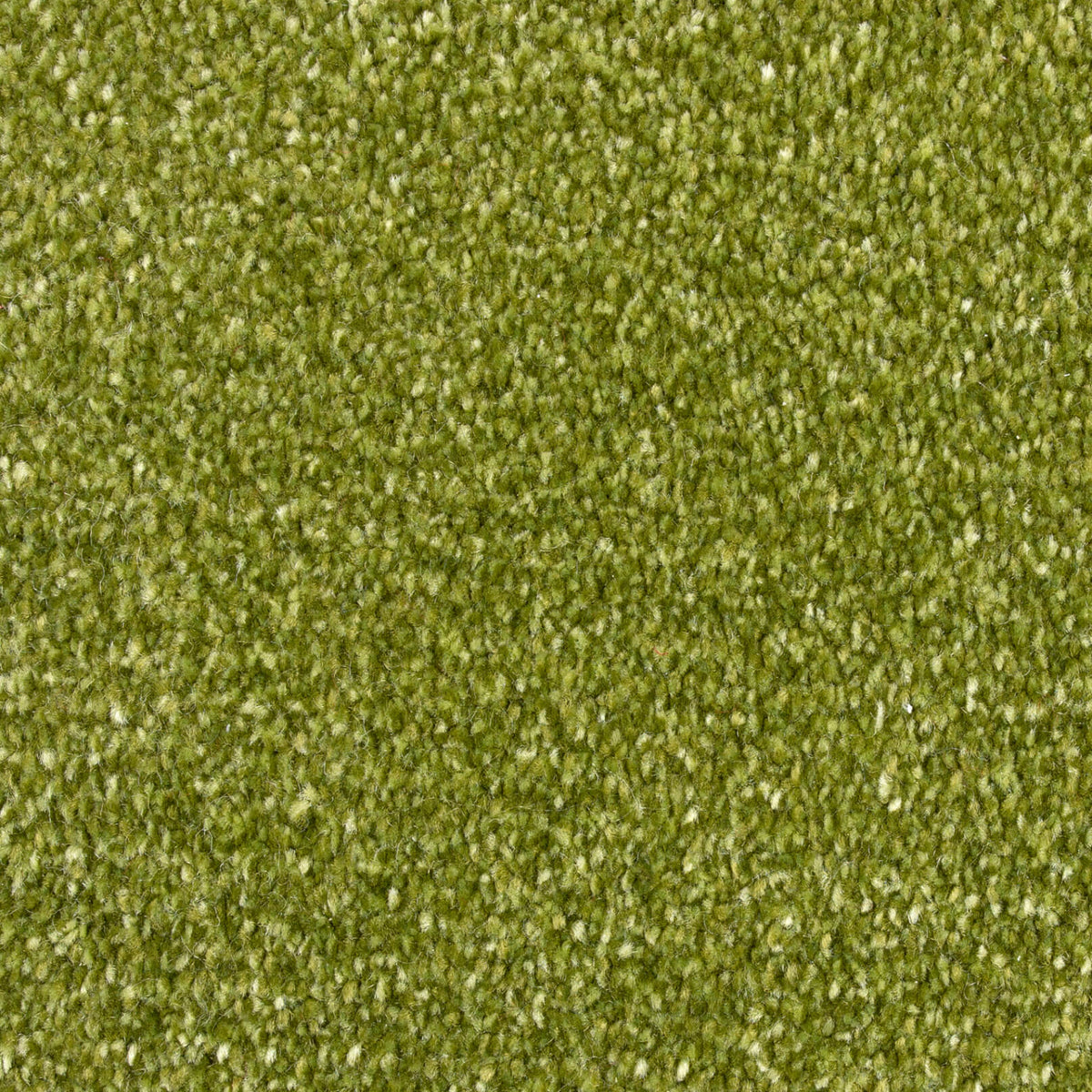 Logan Saxony 313 Lime (4.40m x 4.00m) M016264
