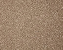 Primo Grande Carpet