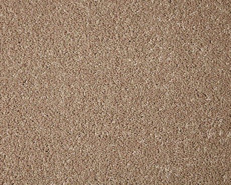 Primo Grande Carpet
