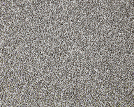 Primo Grande Carpet