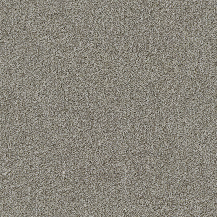 Apollo Plus Carpet