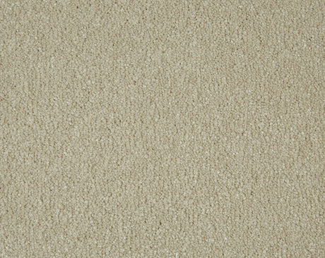 Sensation Carpet