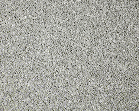 Primo Grande Carpet