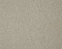 Sensation Carpet