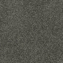 Apollo Plus Carpet