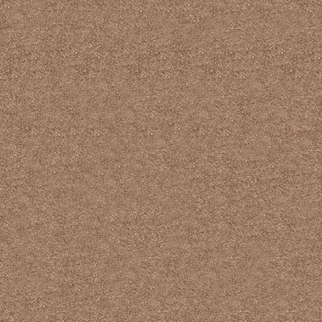 Obsession Carpet