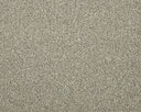Apollo Elite Carpet