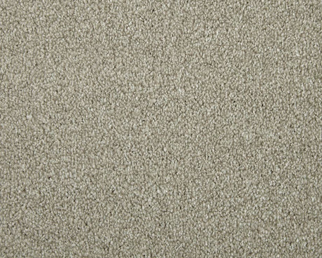 Apollo Elite Carpet