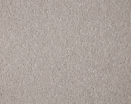 Primo Grande Carpet