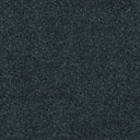 Stainfree Twist Carpet