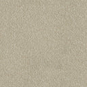 Primo Ultra Carpet