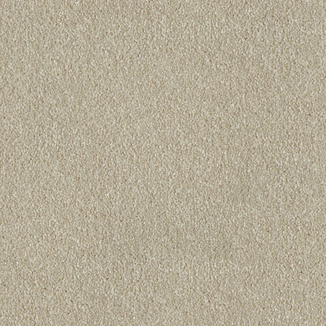 Primo Ultra Carpet