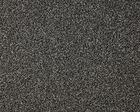 Primo Grande Carpet