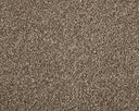 Apollo Elite Carpet