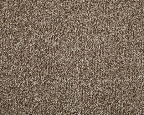 Apollo Elite Carpet