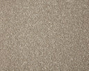 Primo Grande Carpet
