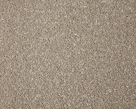 Primo Grande Carpet