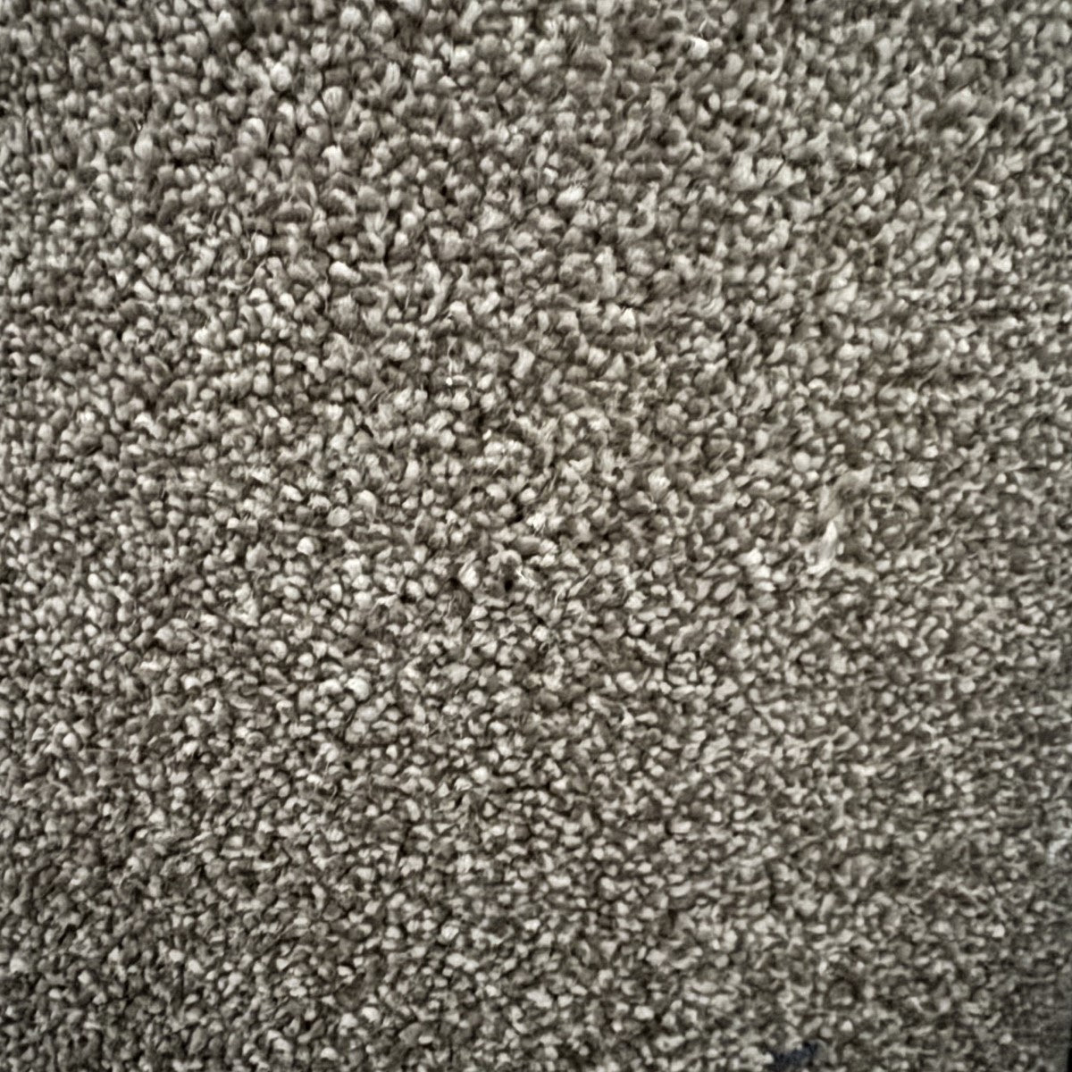 Sapphire 407 Filbert (1.20m x 4.00m) M006574