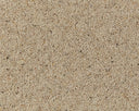 Natural Berber Twist Carpet