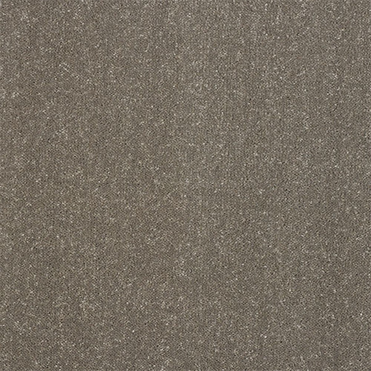 Pure Elegance Carpet