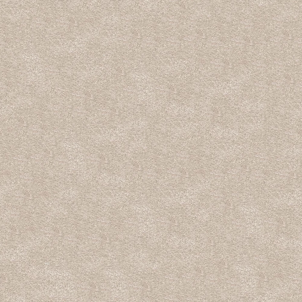 Serenity Carpet