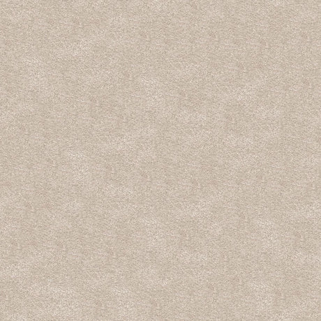 Serenity Carpet