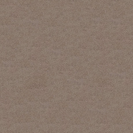 Serenity Carpet